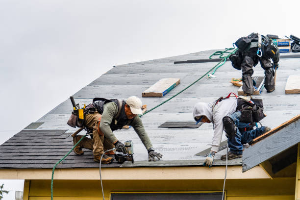 Professional Gutter Installation technician working in Wolverton, MN